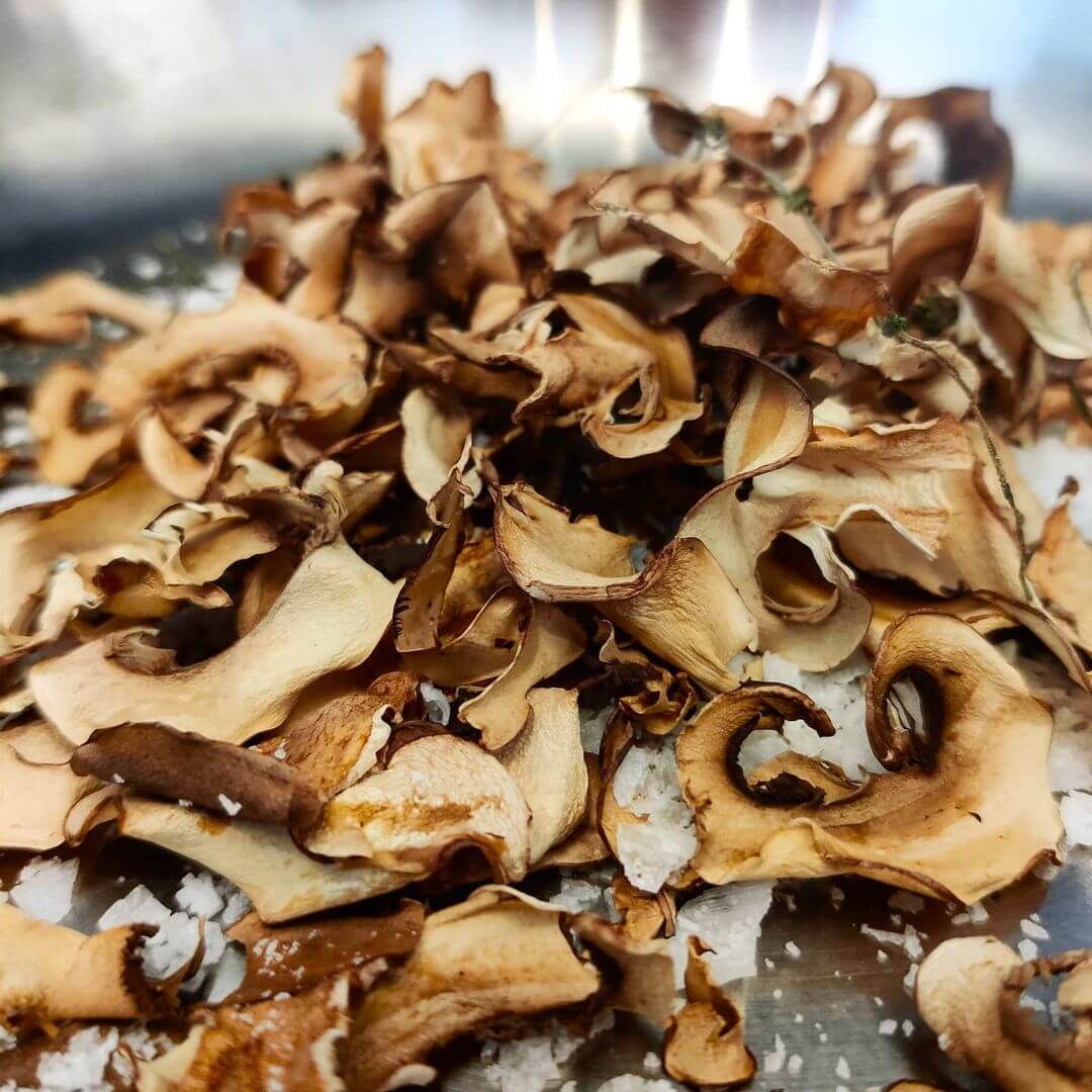 Mushroom Salt- Featured Shot
