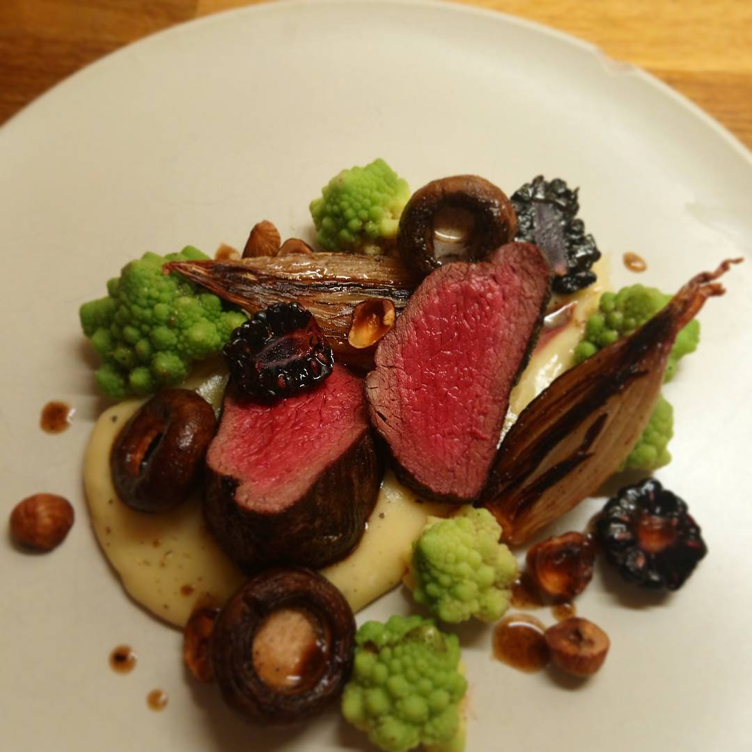 Venison and Blackberries- Featured Shot